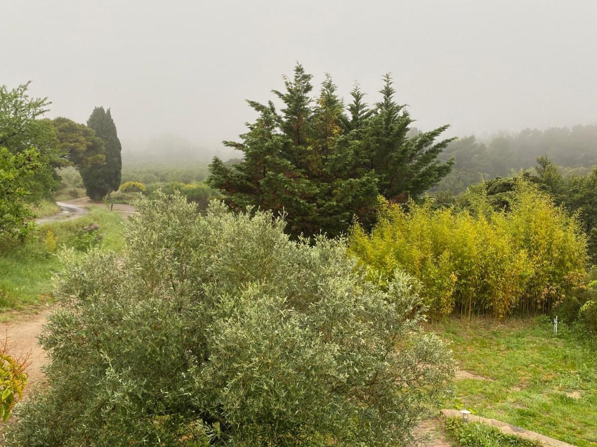 Mas Des Tournevents Bed & Breakfast เลซิยอง คอร์เบรียส์ ภายนอก รูปภาพ